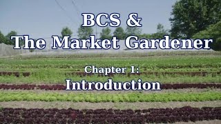 Why JM Fortier Uses a BCS TwoWheel Tractor in his Market Garden [upl. by Esorrebma]