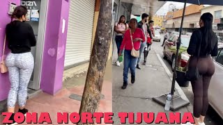 Exploring The Captivating Corners Of Tijuana Zona Norte PT2 [upl. by Aidroc104]