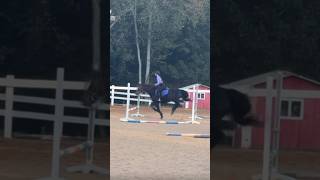 bouncezzz 🤣🩷 corwin was fantastic per usual 🫶🥰 fyp horse eq sub pony [upl. by Wind802]