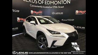 White 2019 Lexus NX 300 Executive Package Walk Around Review  West Edmonton AB [upl. by Verner808]