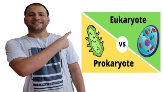 Prokaryotes and Eukaryotes comparison [upl. by Beaufert6]