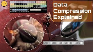 Data Compression Explained Lossless and Lossy Encoding [upl. by Garibold]