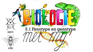 4HV  31 Fenotype en genotype [upl. by Bast]