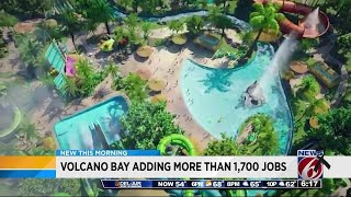 Volcano Bay water park hiring 1700 [upl. by Ahsiei]