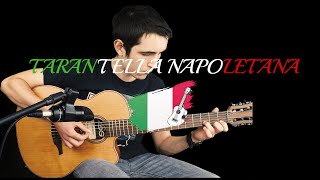 quotTarantella Napoletanaquot  Classical Guitar Cover [upl. by Sall943]