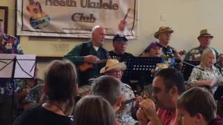 The Lodgers ukulele group from Neath [upl. by Airdnek]