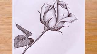 How To Draw a Rose with Water Drops  Pencil Sketch [upl. by Dnomasor]