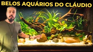 🔴OS LINDOS AQUÁRIOS DO INSCRITO CLÁUDIO Mr Betta [upl. by Ednil]