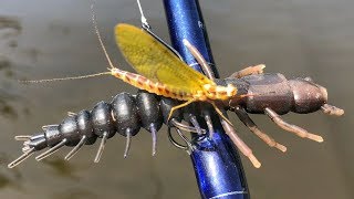 Slammin Smallies During The Mayfly Hatch [upl. by Lamond745]