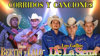 Dueto Bertin Y Lalo VS Los Gallos De La Sierra  Mix Puros Corridos y Rancheras  Puras Buenas [upl. by Imot640]