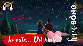 Tu Mile Dil Khile  New Hindi Songs [upl. by Rosmunda]