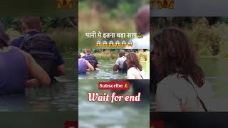 The anaconda 🐍 under water 😱😱 movieexplainedinhindi shorts anaconda [upl. by Esinahs]