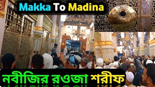 নবীজির রওজা শরীফ  নবীজির রওজা মোবারক  Nabijis Rawza Mubarak  Masjid Nabawi  Reazul Jannah [upl. by Breed]