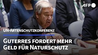 UNArtenschutzkonferenz Guterres fordert quotbedeutende Investitionenquot in Naturschutz  AFP [upl. by Engelhart]