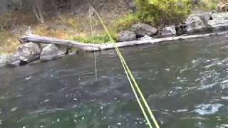 Henrys Fork Box Canyon  Sept 2018 [upl. by Stephen]