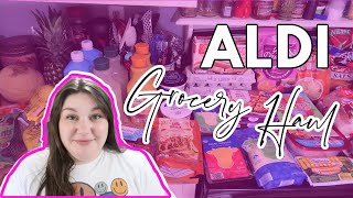 I STAYED UNDER BUDGET  1Week Grocery Haul amp Meal Plan  ALDI HAUL MAY 2024 [upl. by Aileda32]