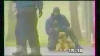 polizeihund training [upl. by Bloom]