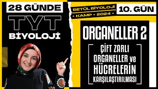 10 Organeller 2  9 Sınıf Biyoloji  2024 TYT Biyoloji Kampı 10 Gün [upl. by Atnoed]