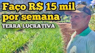 A TERRA LUCRATIVA DE SÔ NENEM  FAÇO ATÉ 15 mil POR SEMENA NESSA TERRINHA [upl. by Nadler324]