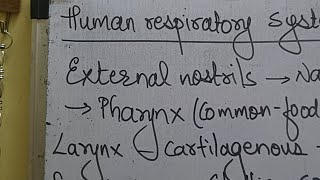 breathing exchange gases human Respiratory system mechanism of breathing NCERT Biology NEET Kukreja [upl. by Reemas429]