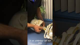 Tests de stabilité cervicaux [upl. by Oby]