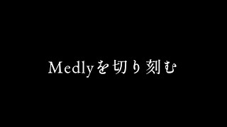 Medlyを刻む [upl. by Reldnahc148]