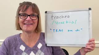 How to Pronounce Trachea [upl. by Issak]