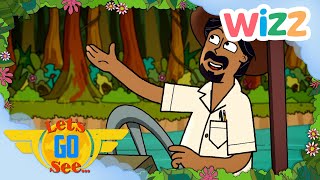 LetsGoSee  Sing Along to the Rainforest Song  Music for Kids  Songs  Wizz [upl. by Stargell]