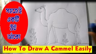 How To Draw a Camel Easily  সহজেই একটি উট আঁকো [upl. by Joelie629]