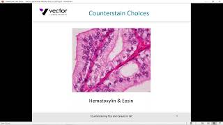 Counterstaining Tips and Caveats in IHC [upl. by Shaffer]