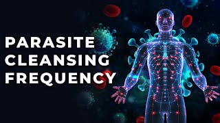 1150 Hz Rife Frequency Parasite Cleansing Frequency Parasite Removal  Astral Parasite Frequency [upl. by Marx]