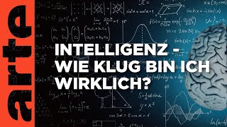 Wie klug bin ich wirklich  Über den Wert unseres IQ  ARTE Saloon Livetalk [upl. by Livia357]