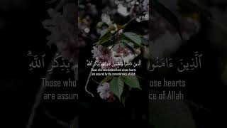 سورة الرعد 28  ماهر المعيقلي Surat AlRaad  Maher AlMuaiqly  shorts [upl. by Ring]