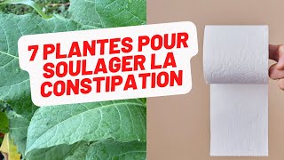 7 plantes du jardin créole pour soulager la constipation de façon radicale [upl. by Snodgrass]