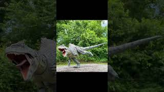 Mattel Jurassic World Hammond Collection Giganotosaurus [upl. by Anialam]