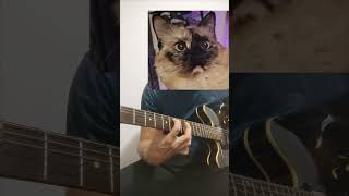 Roulette  System of a Down guitar cat soad guitarcover 2000s 00s guitarplayer [upl. by Yrot]