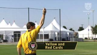 Referee  Signals [upl. by Aela]