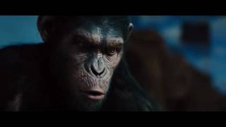 Rise of the planet of the apes  No scene [upl. by Nyliahs]