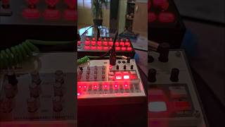 korg sq1 and volca sample 2 beats [upl. by Thurstan]