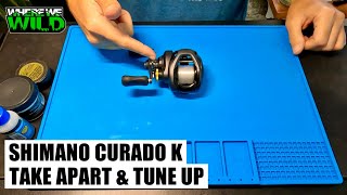 SHIMANO CURADO 201 K  Take Apart amp Tune Up  Reel Maintenance [upl. by Onaireves]