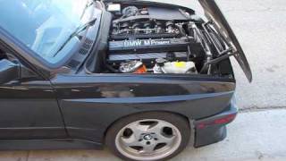 E30 M3 S38B36 36 Dyno [upl. by Elehcim]