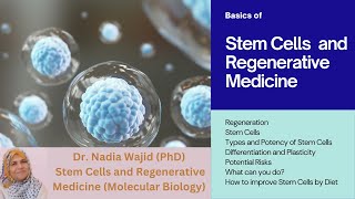 Stem Cells and Regenerative Medicine [upl. by Talich163]