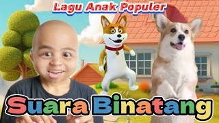 Lagu Anak Yang Lagi Viral SUARA BINATANG Original Song By KBeeb laguanak suarabinatang kbeeb [upl. by Adlev714]