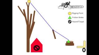 Tree Rigging  Speedline Basics  TreeStuffcom Arborist 101 [upl. by Renita]