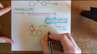 The Neurobiology of Drug Addiction Part 5 [upl. by Mossolb]