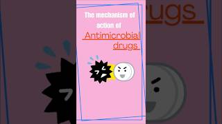 MECHANISM OF ACTION OF ANTIMICROBIAL DRUGS [upl. by Tnirb]