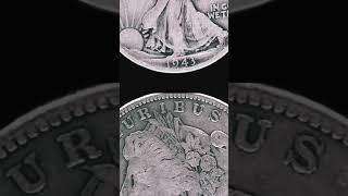 Morgan Silver Dollar 💵 amp Silver Walking Liberty 🗽 Half Dollar 💵 Fifty Cent Coins [upl. by Ylelhsa]