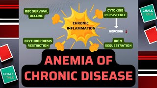 Anemia of Chronic Disease [upl. by Kendall]