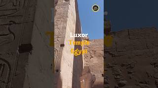 Pillars at Luxor temple  Egypt travel shorts egypt [upl. by Naejarual]