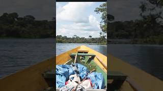 14 Days Survival in Brazilian Amazon Rainforest nature adventure brazil amazon [upl. by Aloise]